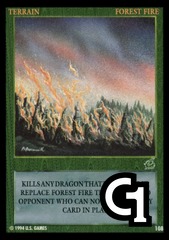 Forest Fire